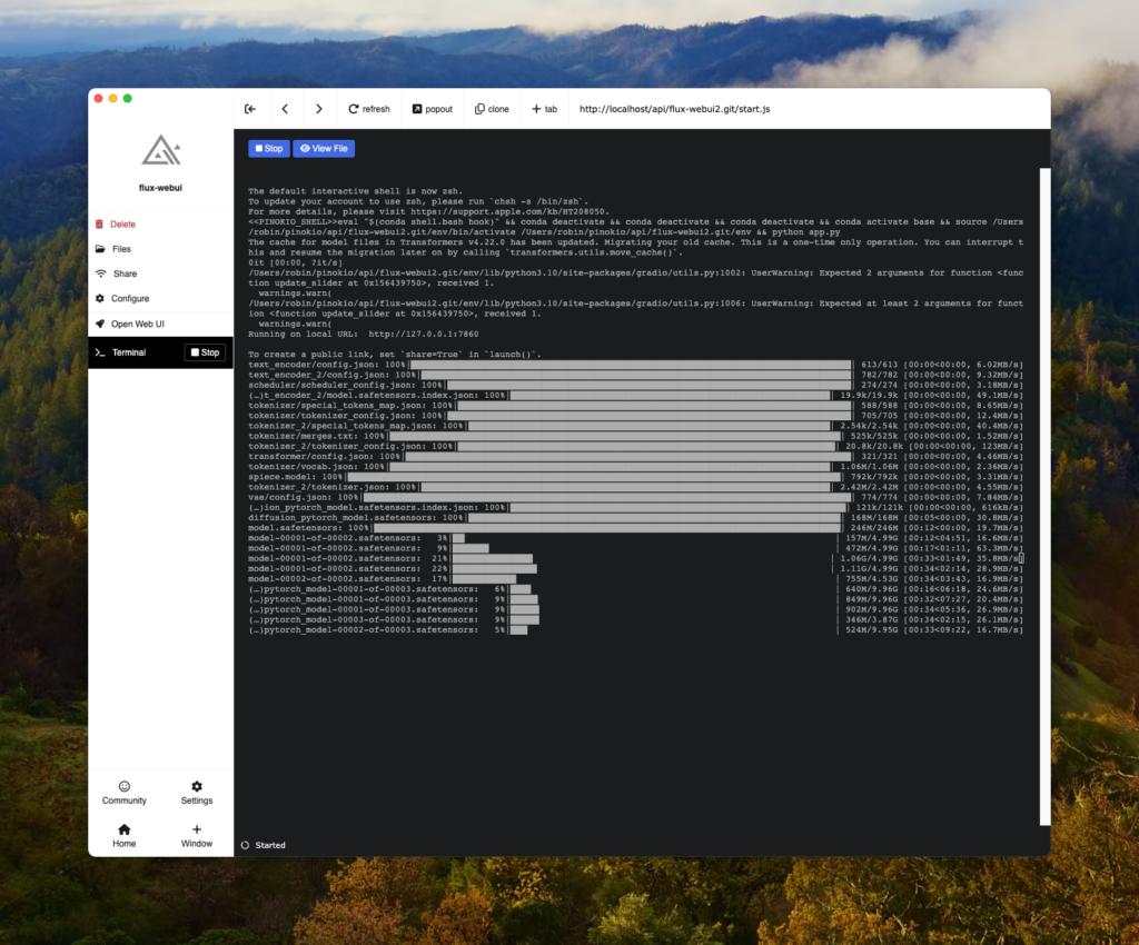 Terminal view during Flux Pinokio setup